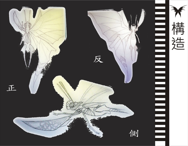 刺蝶 - 8.jpg 刺蝶 - 8.jpg