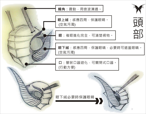 刺蝶 - 9.jpg 刺蝶 - 9.jpg