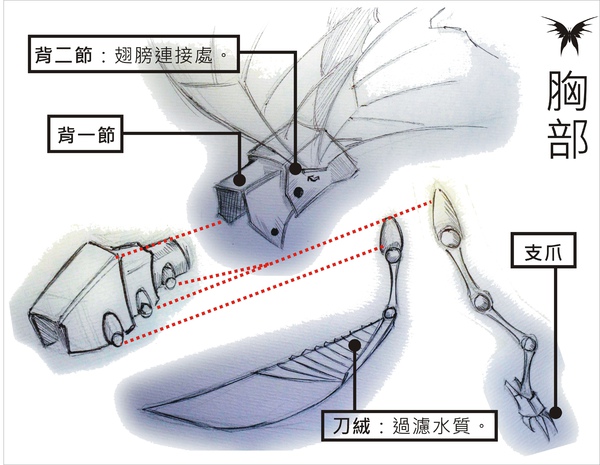 刺蝶 - 11.jpg 刺蝶 - 11.jpg