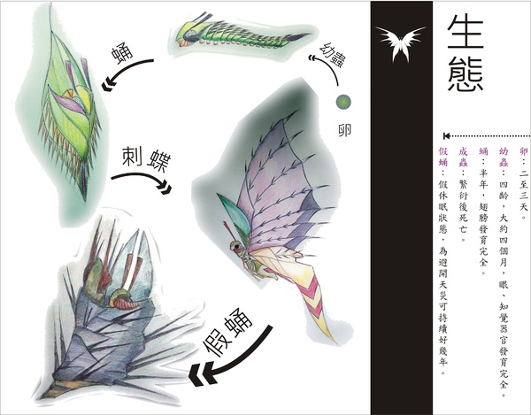 刺蝶 - 16.jpg 刺蝶 - 16.jpg