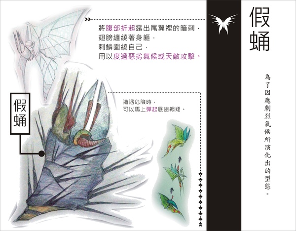 刺蝶 - 17.jpg 刺蝶 - 17.jpg