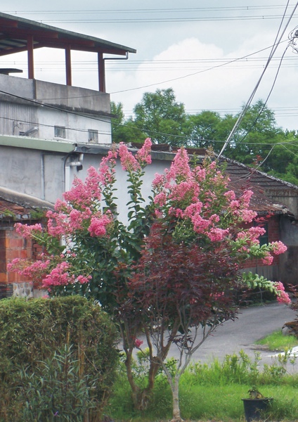 作業04.jpg 作業04.jpg