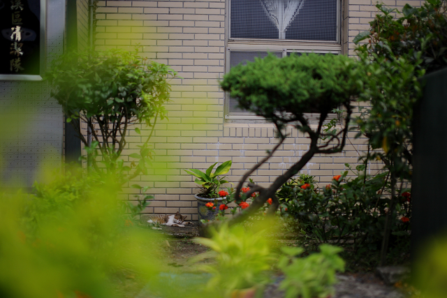 IMG_4584 IMG_4584