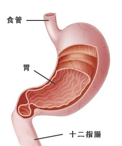 利九星 解酒 代謝酒精 酒精中毒 酒醉 解宿醉 千杯不醉 保肝 保健食品 護肝