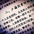 20100503 001.jpg