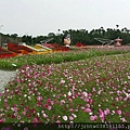 國福花海-2014花東花海季