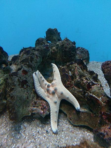 IMAG4396.jpg IMAG4396.jpg