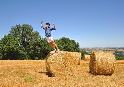 hay-field-bale-agriculture.jpg hay-field-bale-agriculture.jpg