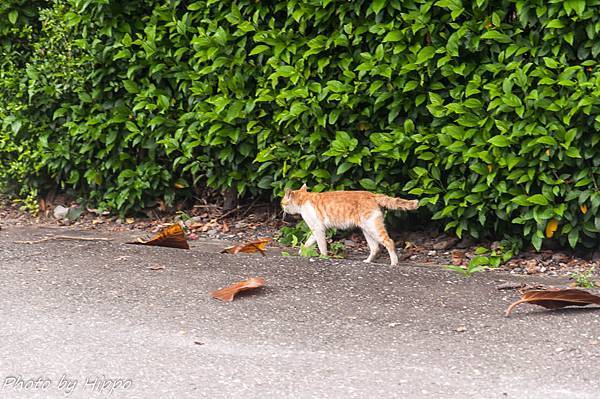 DSC_0325 DSC_0325