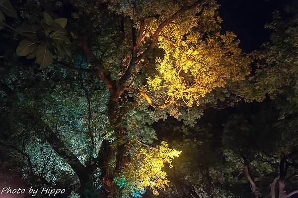 DSC_0427 DSC_0427