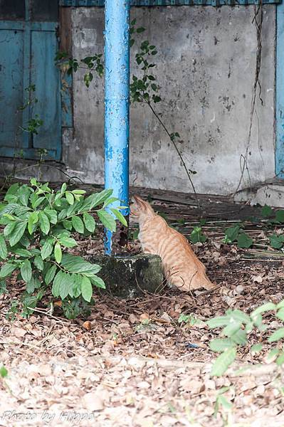 DSC_0619 DSC_0619