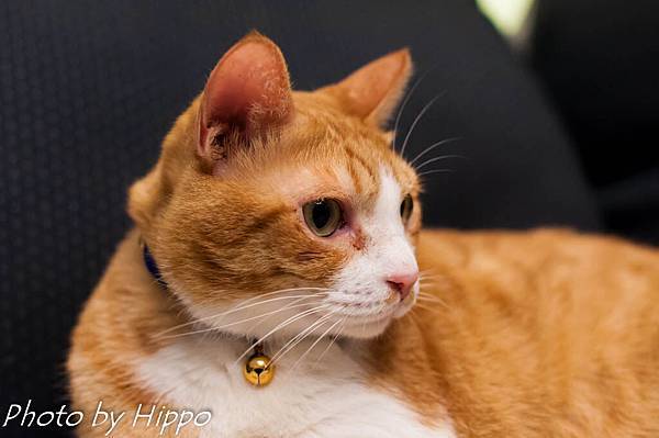DSC_0066 DSC_0066