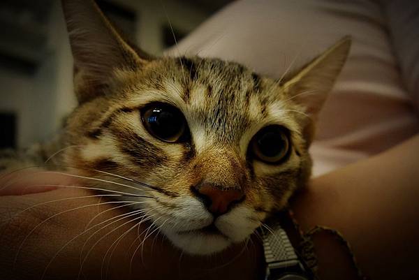 DSC00487 DSC00487