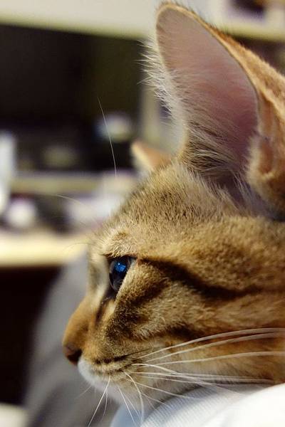 DSC00493 DSC00493