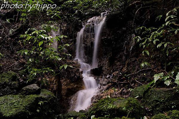 DSC_0025 DSC_0025