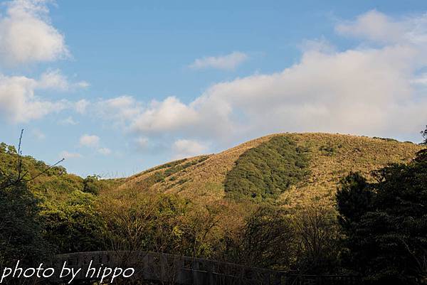 DSC_0041 DSC_0041