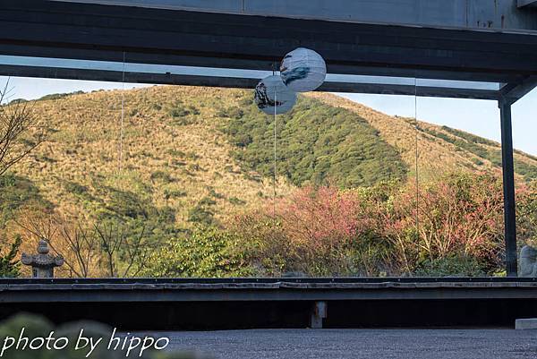 DSC_0055 DSC_0055