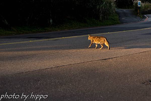DSC_0072 DSC_0072