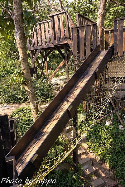 DSC_0296.jpg DSC_0296.jpg