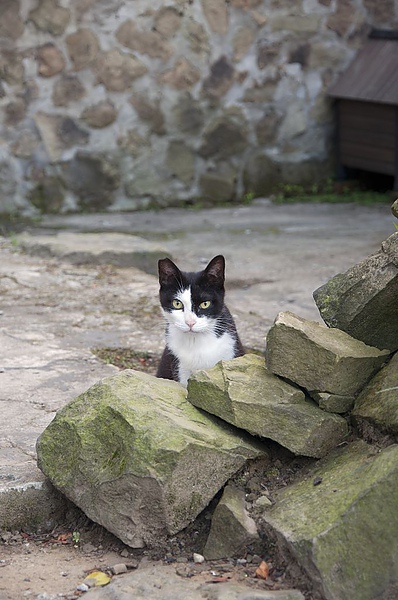 DSC_0023.JPG