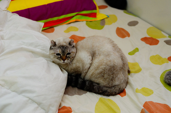 DSC_0038.jpg