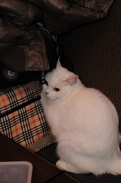 DSC_0473.jpg