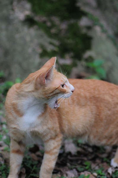 DSC_0502.jpg