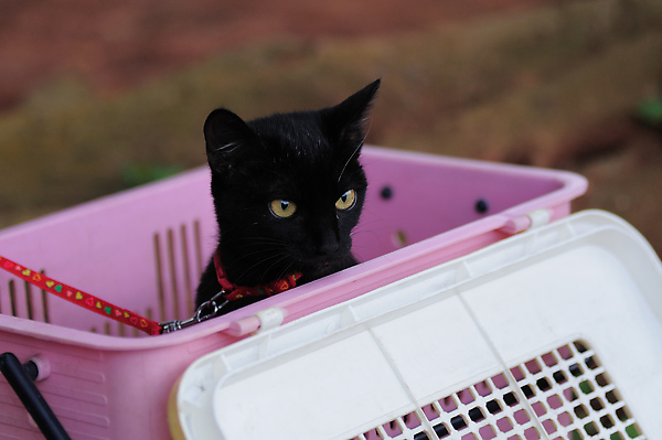 DSC_0105.jpg
