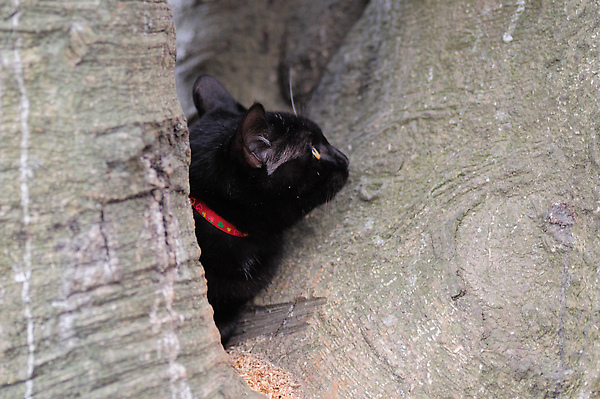 DSC_0111.jpg