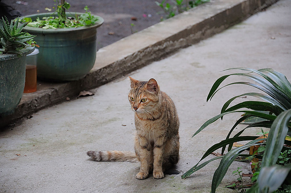 DSC_0560.jpg
