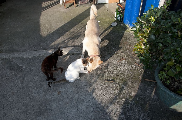 DSC_0088.JPG