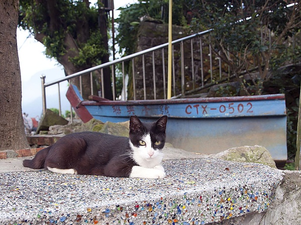 DSC_0032.JPG