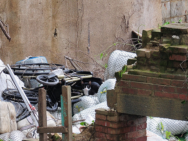 DSC_0797.jpg