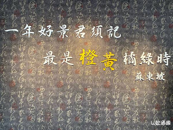 橙黃_201021_17 橙黃_201021_17