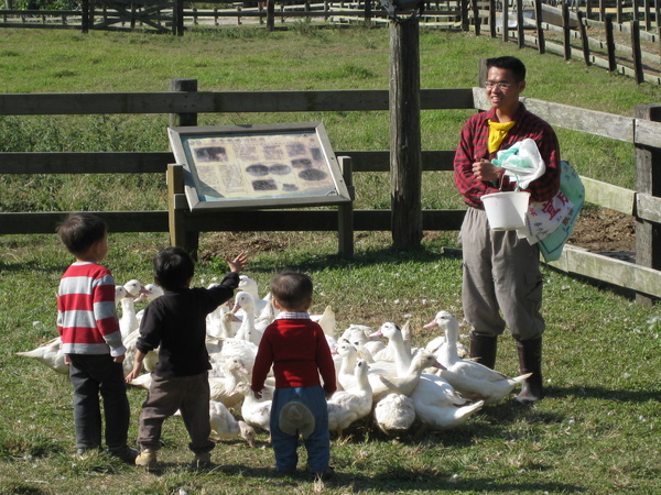 20081201飛牛牧場 122.jpg 20081201飛牛牧場 122.jpg