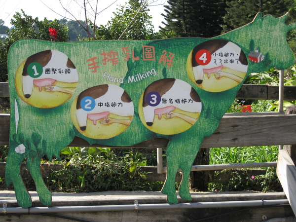 20081201飛牛牧場 167.jpg 20081201飛牛牧場 167.jpg