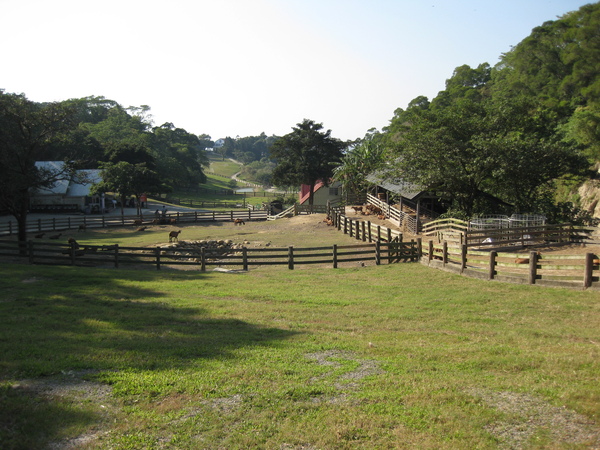20081201飛牛牧場 177.jpg 20081201飛牛牧場 177.jpg