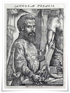 Vesalius