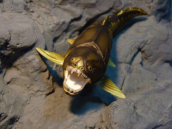 2013.3.6 鄧氏魚 ( Dunkleosteus )-3.jpg