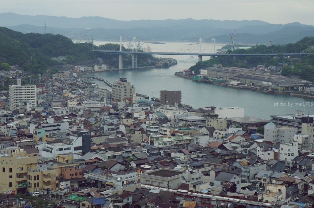 DSC01750.JPG DSC01750.JPG