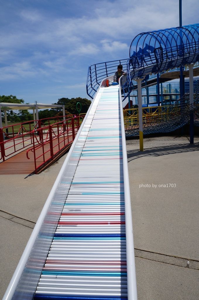 DSC02220.JPG DSC02220.JPG