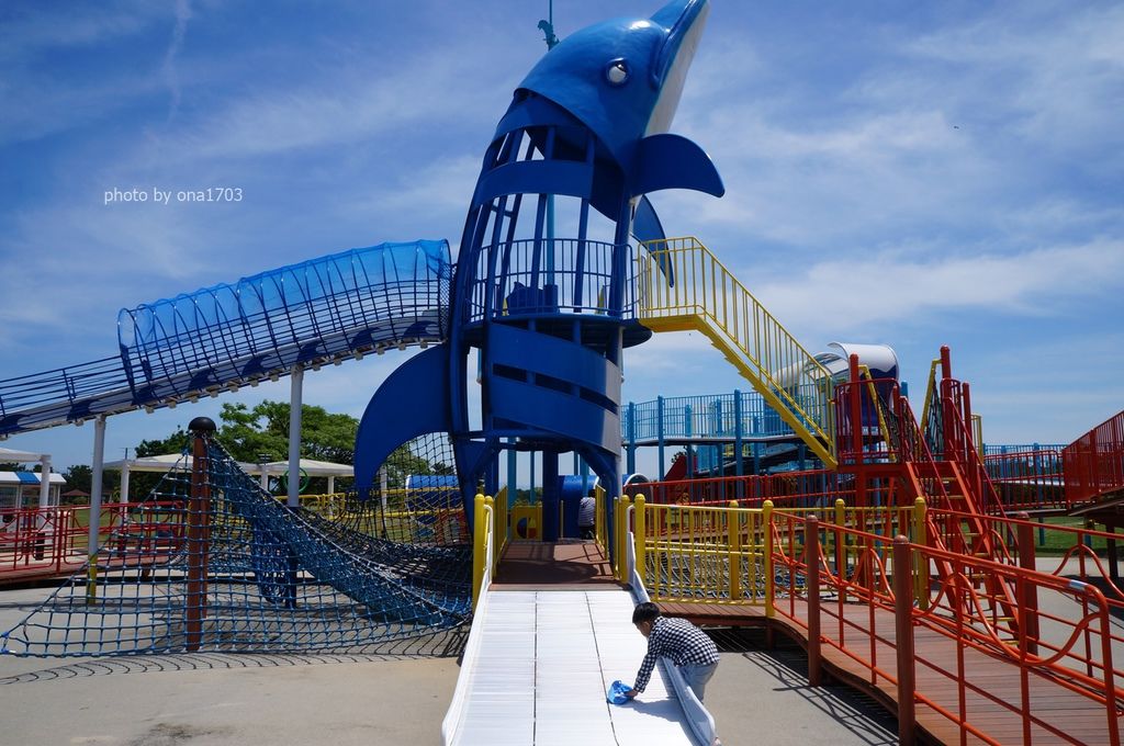 DSC02252.JPG DSC02252.JPG