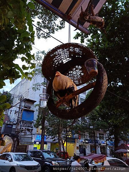 IMG20190711183936.jpg IMG20190711183936.jpg