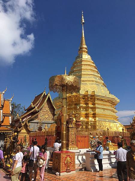 IMG_5339.JPG IMG_5339.JPG