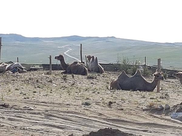 20170619_092604 20170619_092604