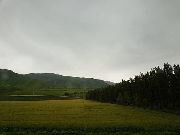 20170623_145035 20170623_145035
