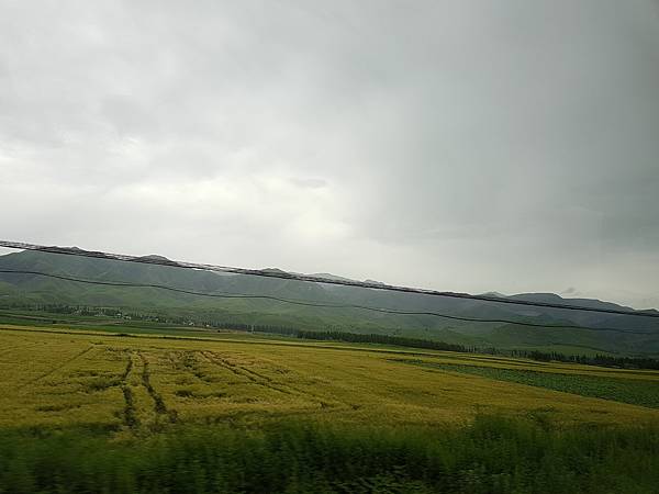 20170623_144428 20170623_144428