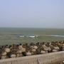 RIMG0337.JPG RIMG0337.JPG