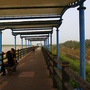 RIMG0409.JPG RIMG0409.JPG
