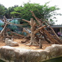 RIMG0348.jpg RIMG0348.jpg